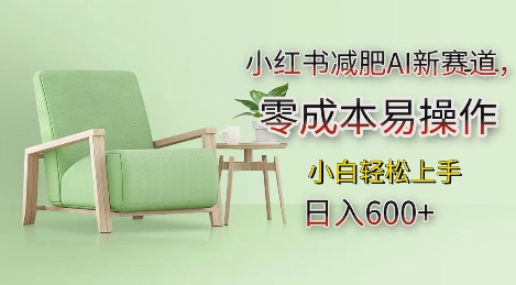2024小红书减肥AI新赛道项目解析 零成本易操作小白可上手