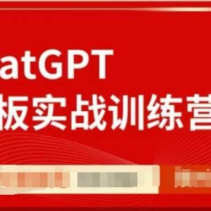 ChatGPT老板实战训练营 多场景用法教学 提效拓展增收路径-雨叶虚拟资源网