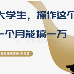 视频号卖古籍副业项目拆解 在校大学生实操月入可达一万元-雨叶虚拟资源网