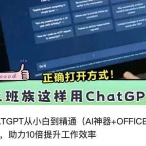 ChatGPT从入门到精通实操教程 搭配Office全家桶提升办公效率-雨叶虚拟资源网