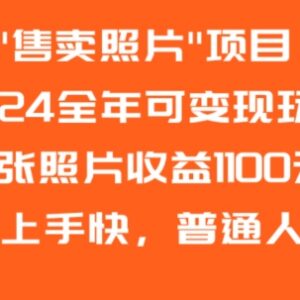 2024普通人可做的售卖照片变现玩法 单张最高收益1100元-雨叶虚拟资源网