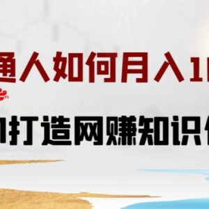 普通人从0到1打造网赚知识付费IP 小白入门完整实操教程-雨叶虚拟资源网
