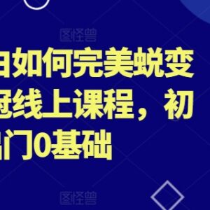 0基础外贸小白入门到行业销冠 全流程技能提升线上课程-雨叶虚拟资源网