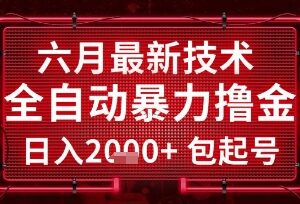 2024年6月全自动直播撸金项目 包起号稳定日入可批量矩阵操作-雨叶虚拟资源网
