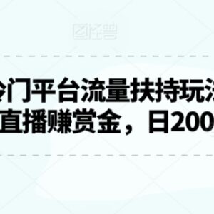 2024视频号冷门流量扶持玩法 无人游戏直播赚赏金实操指南-雨叶虚拟资源网