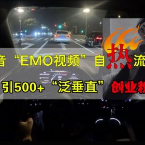 抖音EMO视频自热引流打法 日引500+泛垂直创业粉实操教程-雨叶虚拟资源网
