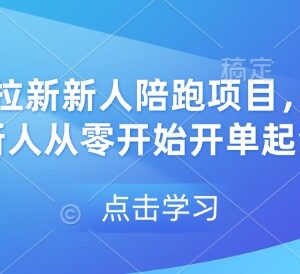 网盘拉新新人陪跑项目全攻略 零基础入门掌握方法快速开单起量-雨叶虚拟资源网