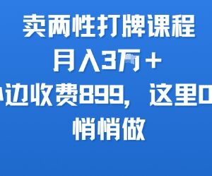 小众两性课程售卖副业实操 月入3万玩法资料免费分享-雨叶虚拟资源网