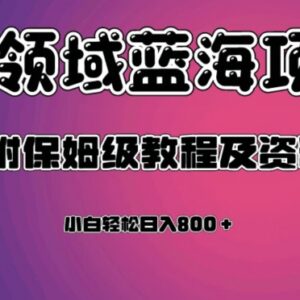 虚拟资源蓝海副业项目保姆级教程 附全套操作资料及变现方法-雨叶虚拟资源网