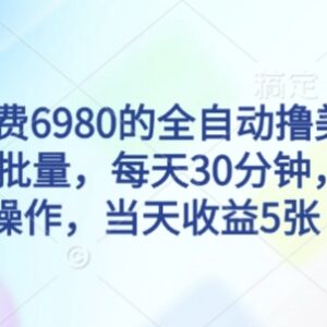 售价6980的全自动撸美刀项目揭秘 可批量低门槛操作收益可观-雨叶虚拟资源网
