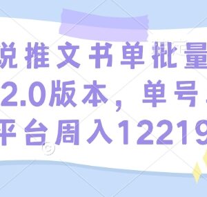 2025小说推文书单批量玩法2.0 单号单平台周入过万实操教程-雨叶虚拟资源网