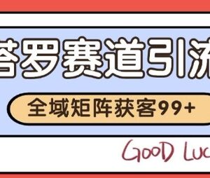 小红书抖音塔罗赛道引流获客 自动矩阵实操玩法全解析-雨叶虚拟资源网