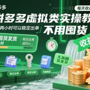 拼多多虚拟类目开店实操教学 低门槛无货源副业稳定出单指南-雨叶虚拟资源网