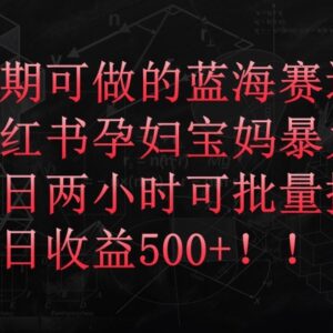 小红书孕妇宝妈蓝海赛道拉新玩法 每日2小时操作单日收益可达500+-雨叶虚拟资源网