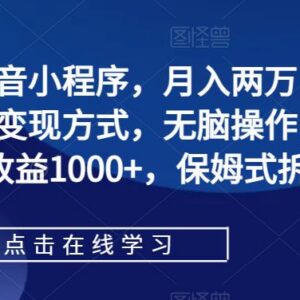 抖音小程序低门槛变现教程 零投入日做2小时月入两万实操指南-雨叶虚拟资源网