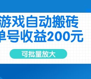 上线20年老牌游戏欧服美服自动搬砖 单号收益200可批量放大-雨叶虚拟资源网