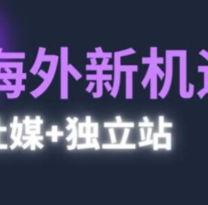 2025跨境出海新机遇 社媒加独立站全流程高效运营实操指南-雨叶虚拟资源网