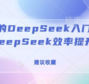 DeepSeek R1从入门到精通全攻略 实用技巧助力使用效率提升-雨叶虚拟资源网