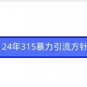 2024年315暴力引流实操教程 从工具准备到变现涨粉全流程-雨叶虚拟资源网
