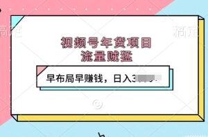 2024视频号年货直播带货项目详解 提前布局即可获取高额收益-雨叶虚拟资源网