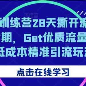 2024小红书第七期28天训练营 低成本精准引流实操玩法教程-雨叶虚拟资源网