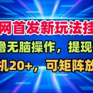 挂机赚米项目操作指南 闲置手机单机日入20+可矩阵长期运营-雨叶虚拟资源网