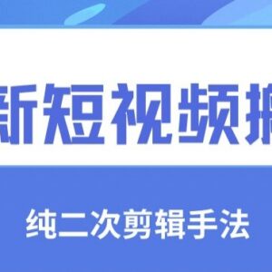 短视频搬运纯手法去重技巧 二创剪辑过审实操方法教学-雨叶虚拟资源网