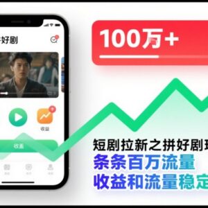短剧拉新拼好剧玩法详解 多平台运营流量收益稳定可落地-雨叶虚拟资源网