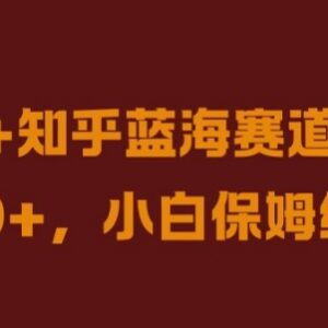 抖音+知乎蓝海赛道实操教程 小白零门槛上手变现全指南-雨叶虚拟资源网