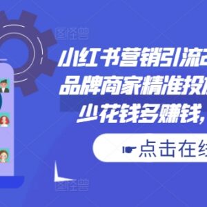 小红书品牌商家投放运营全指南 24招引流实操玩法教程-雨叶虚拟资源网