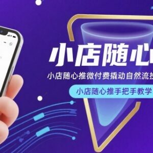 小店随心推微付费撬动自然流 投手从入门到精通实操教学-雨叶虚拟资源网