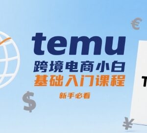 Temu跨境电商零基础入门课程 新手开店运营全流程教学-雨叶虚拟资源网