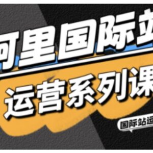 阿里国际站运营实战教程 涵盖引流直通车全站推SOP及AI工具包-雨叶虚拟资源网