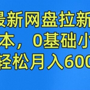 2024最新无成本网盘拉新玩法 0基础小白可操作赚佣金-雨叶虚拟资源网