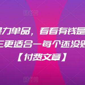 月入六位数小众医疗器械暴利项目揭秘 适合想增收的普通人-雨叶虚拟资源网
