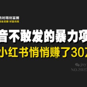 小红书天涯神贴副业项目实操 低门槛轻资产高收益可落地-雨叶虚拟资源网