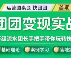 千万级流水团长亲授快团团实战课 从入门到爆单全流程教学-雨叶虚拟资源网