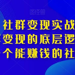 淘百万社群变现实战营 打通底层逻辑打造能赚钱的优质社群-雨叶虚拟资源网