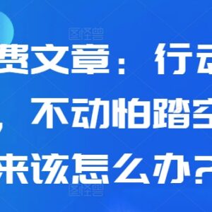 行动怕亏本不动怕踏空？当下经济周期下个人投资决策实用指南-雨叶虚拟资源网