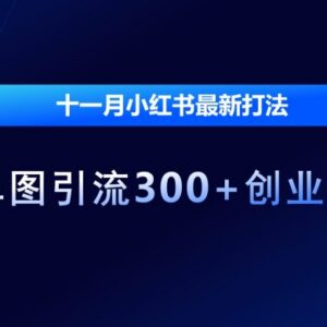2024年11月小红书最新打法 单图引流300+创业粉实操教程-雨叶虚拟资源网