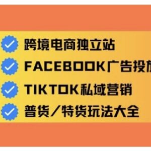 0基础入门精通跨境电商运营 独立站及全域流量营销教程-雨叶虚拟资源网