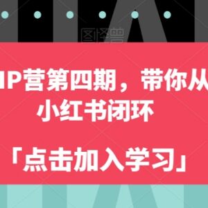 自媒体成长IP营第四期教程 从零到一跑通小红书运营全闭环-雨叶虚拟资源网