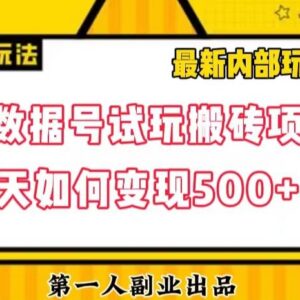 梦幻数据号游戏试玩搬砖独家高阶玩法 实操可实现日入500+-雨叶虚拟资源网