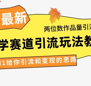 2024年4月最新国学赛道引流攻略 两位数作品涨万粉实操教学-雨叶虚拟资源网