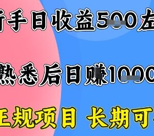 正规无门槛长期可做居家创业项目 仅需电脑熟练后单日收益过千-雨叶虚拟资源网