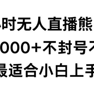 快手24小时无人直播熊出没玩法 零违规不封号小白实操全教程-雨叶虚拟资源网