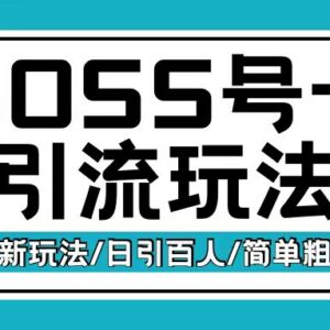 Boss直聘结合流量卡引流变现玩法 日引200+创业粉实操攻略-雨叶虚拟资源网
