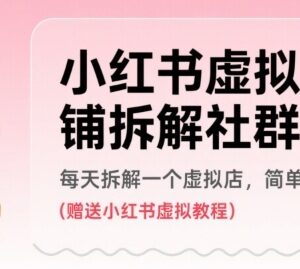小红书虚拟店铺拆解案例汇总 各品类虚拟店实操方法附教程-雨叶虚拟资源网