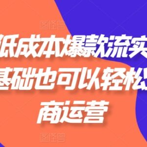拼多多低成本爆款流实战教程 0基础可学电商运营实操技巧-雨叶虚拟资源网