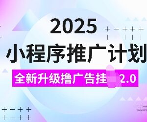 2025全新升级小程序广告挂机2.0玩法 小白可做的低门槛副业项目-雨叶虚拟资源网